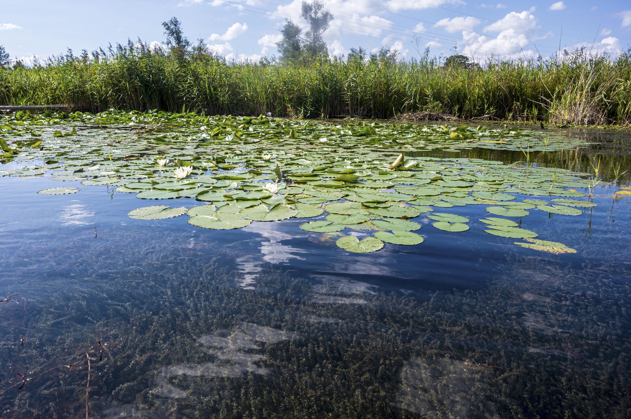 Kajaktour Leutstettner Moos 21.08.2022